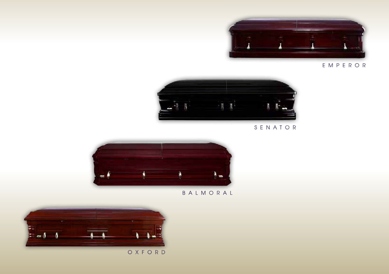 SAFS BROCHURE(2020) AMENDED-26 SAFS BROCHURE(2020) AMENDED-26